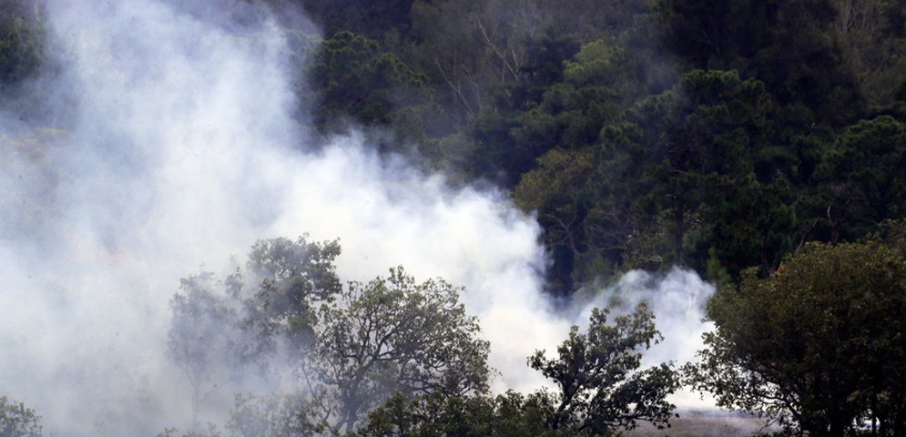 campana preventiva incendios forestales honduras