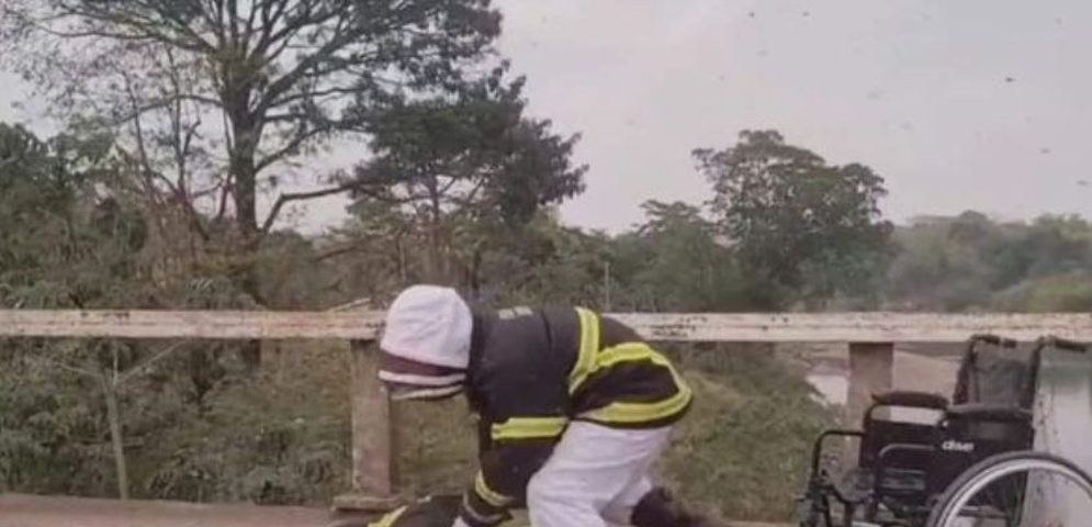 bombero salva discapacitado atacado abejas mulukuku