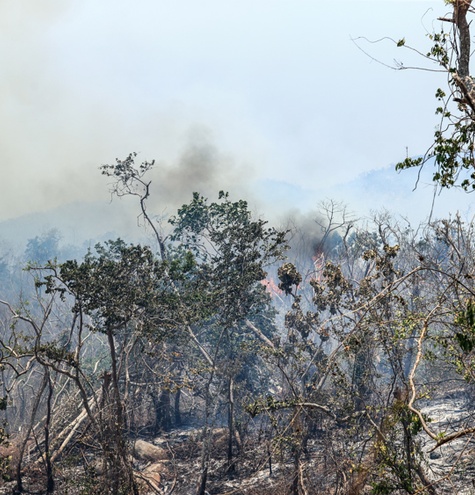 incendios forestales acapulco mexico