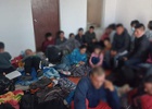 Autoridades en México reportan casi a diario rescate de nicaragüenses migrantes.