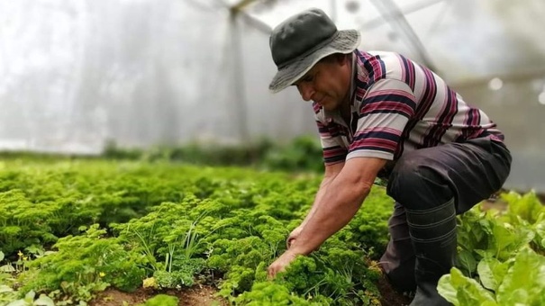 agricultor en costa rica