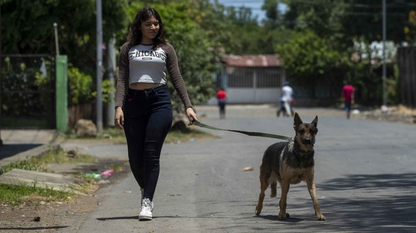 gente caminando con perro mascota nicaragua efe