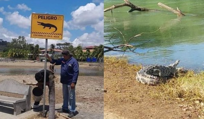 presencia de cocodrilos en nicaragua