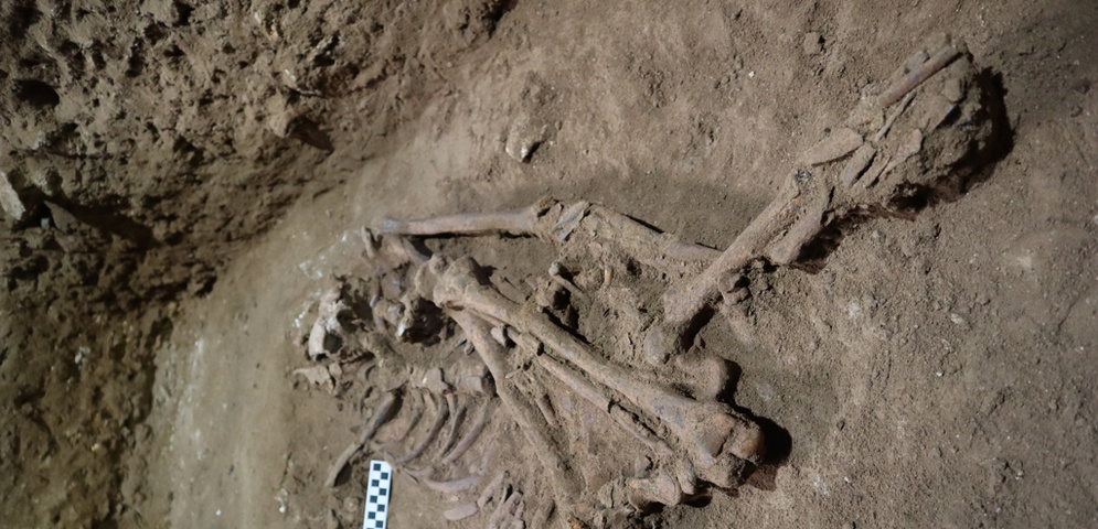 restos huesos humanos