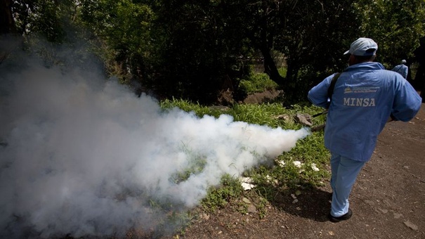 casos dengue nicaragua