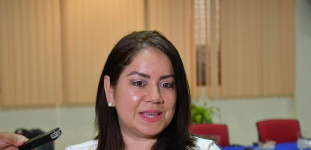 mendy arauz nueva ministra educacion nicaragua