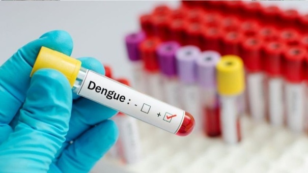 casos confirmados dengue nicaragua