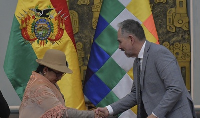 relator para bolivia de comision interamericana de ddhh
