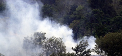 campana preventiva incendios forestales honduras