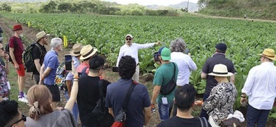 festival internacional del tabaco en nicaragua
