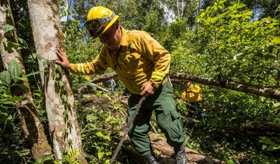 incendios forestales y no forestales guatemala