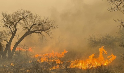 incendio forestal texas