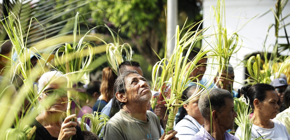 catolicos salvadorenos celebran domingo de ramos