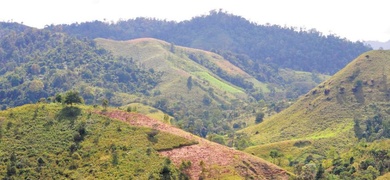 deforestacion acelerada en nicaragua