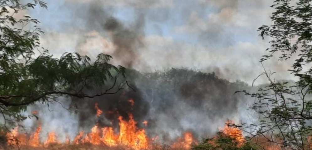 incendios forestales el salvador