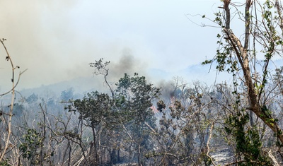 incendios forestales acapulco mexico