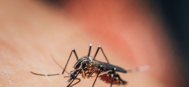 aumentan casos de dengue y malaria en nicaragua