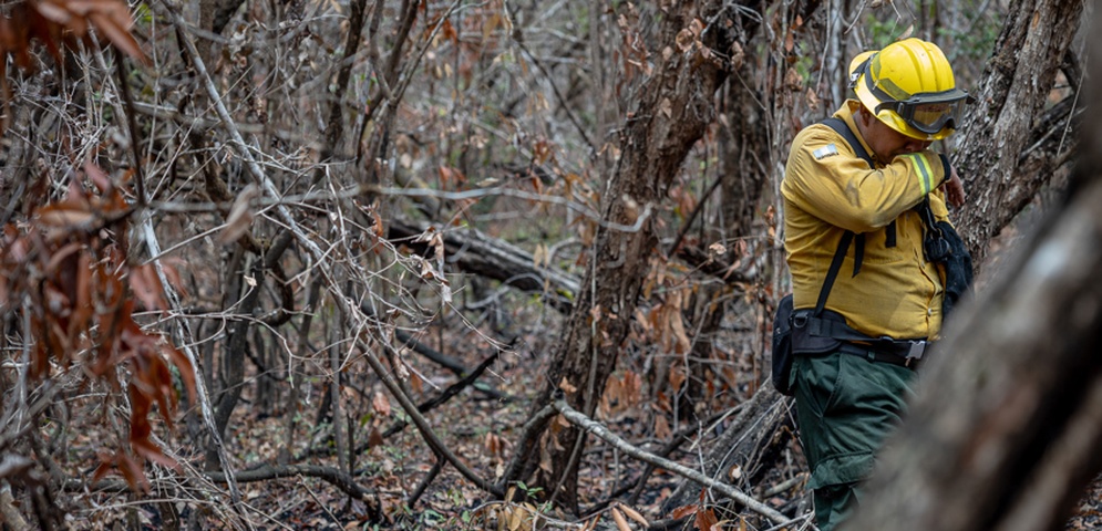 perdidas incendios forestales guatemala