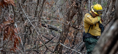 perdidas incendios forestales guatemala