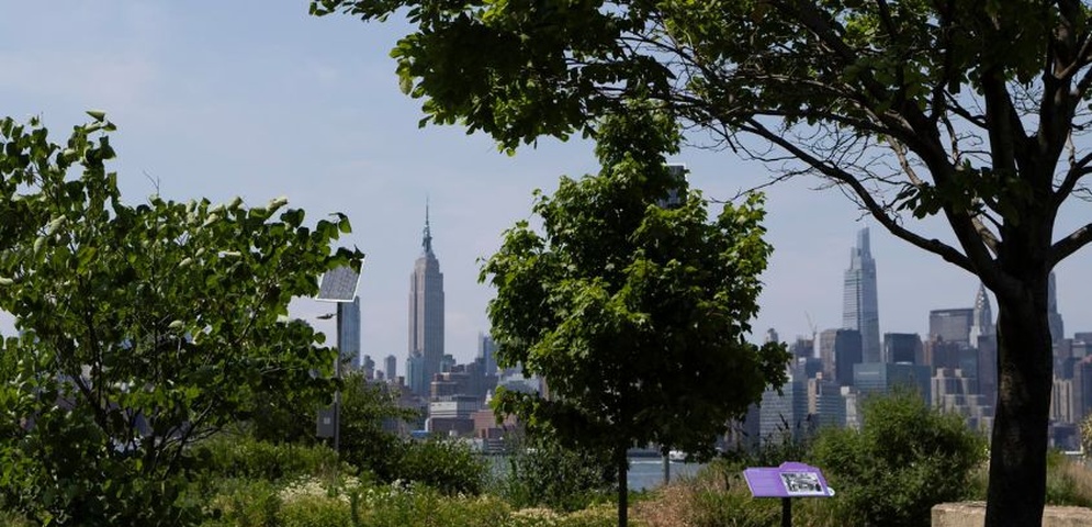 verano ola de calor en estados unidos