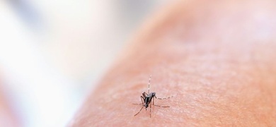 casos de dengue aumentan en nicaragua