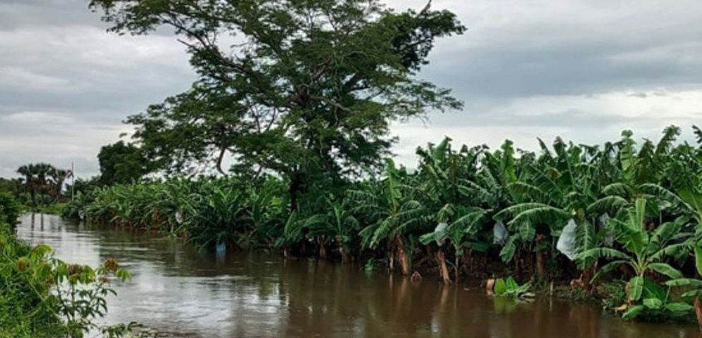 agricultores desastres lluvias mexico