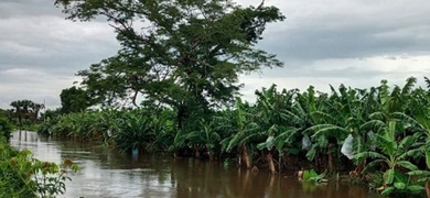 agricultores desastres lluvias mexico
