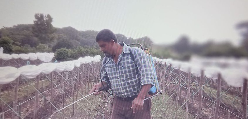 preso politico wilfredo balmaceda grave de salud