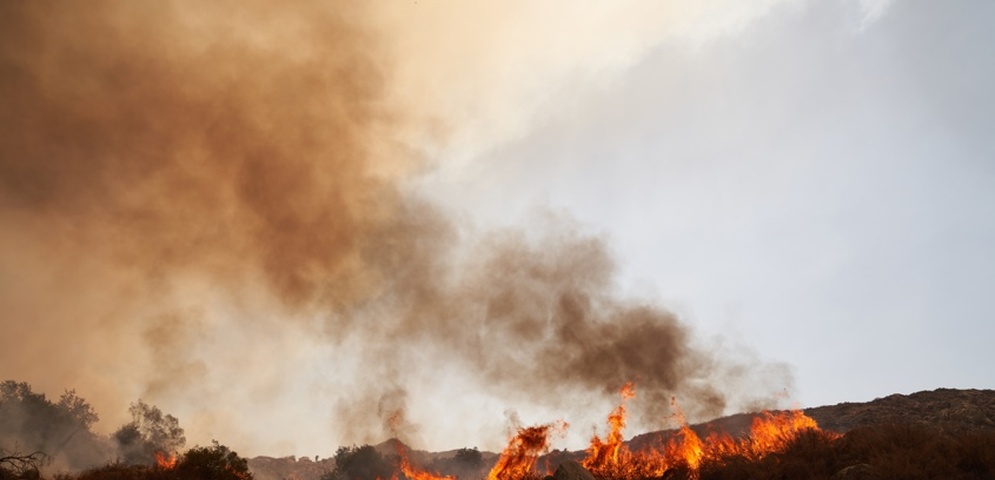 muertos altas temperaturas calor eeuu