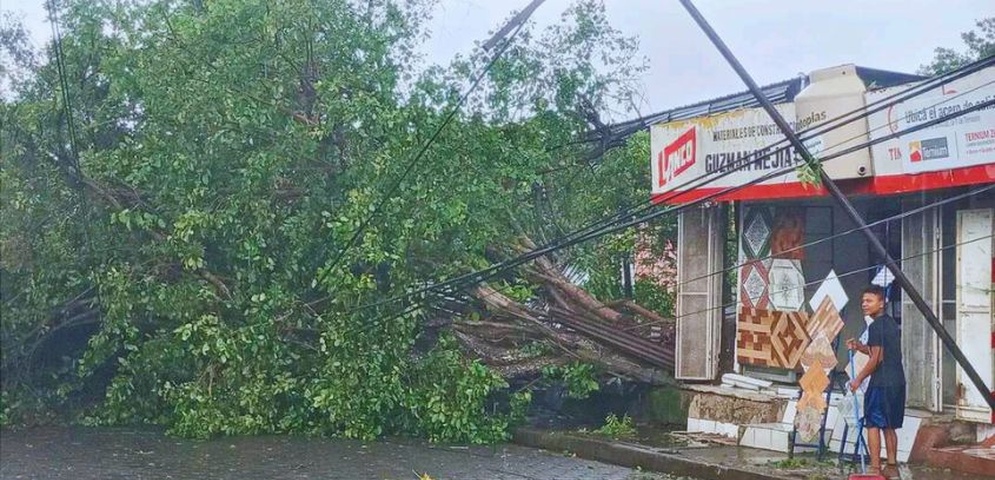 alerta en masaya por arboles derribados