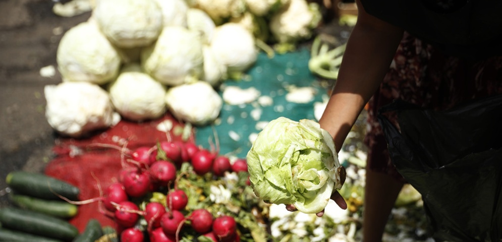 alimentos libres arancele el salvador