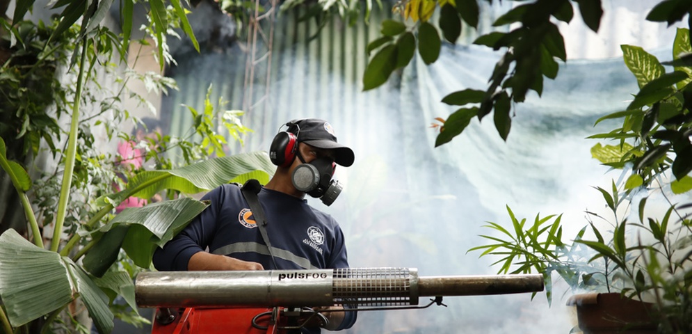 casos dengue el salvador