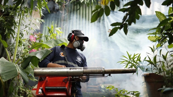 casos dengue el salvador