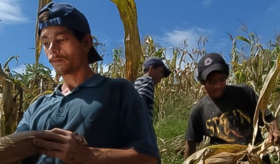 mano de obra migrante nicaraguense costa rica