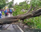 arboles caidos lluvia nicaragua el cua jinotega