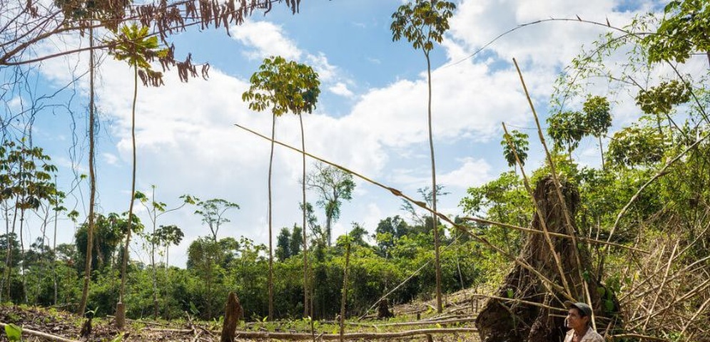 reserva biológica bosawas deforestación nicaragua comunidades indigenas