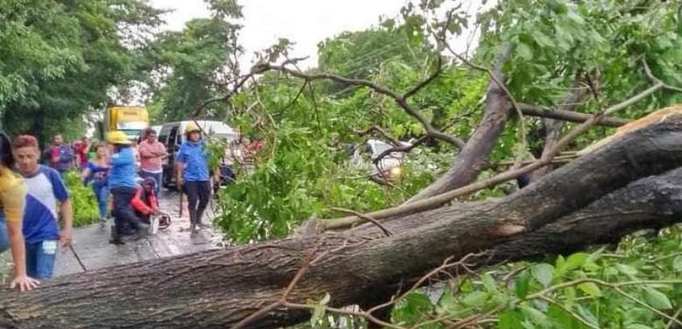 arboles caidos lluvia nicaragua el cua jinotega