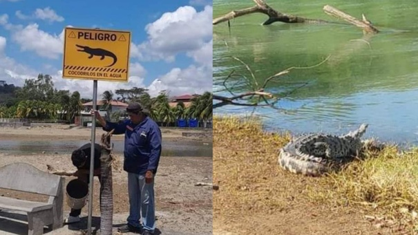 presencia de cocodrilos en nicaragua