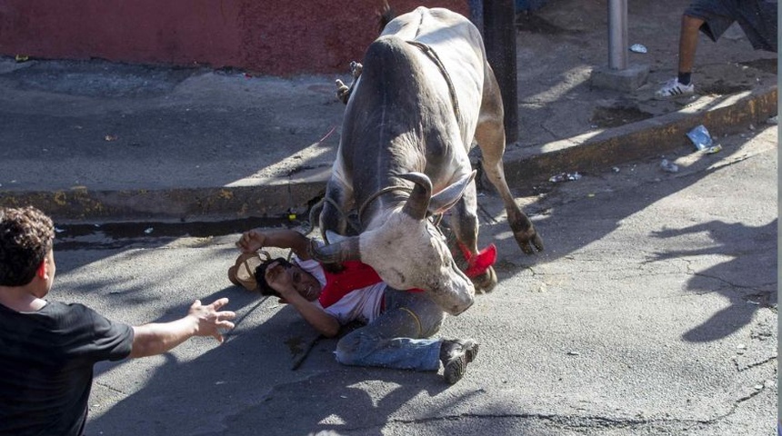 toro embiste a un hombre fiestas santo domingo