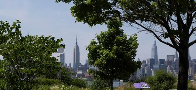 verano ola de calor en estados unidos