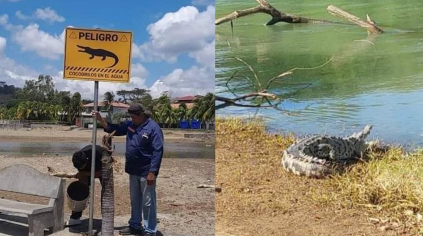 presencia de cocodrilos en nicaragua