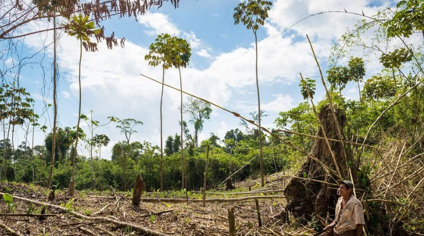 reserva biológica bosawas deforestación nicaragua comunidades indigenas