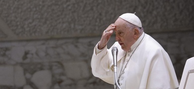 papa francisco bendicion parejas gais