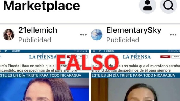 lucia pineda ubau publicidad engañosa noticias falsas