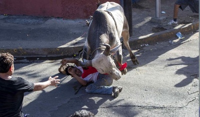 toro embiste a un hombre fiestas santo domingo