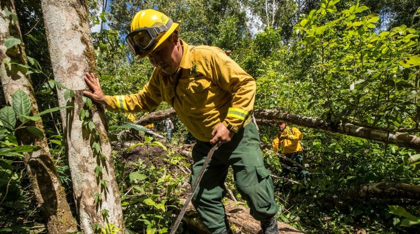 incendios forestales y no forestales guatemala