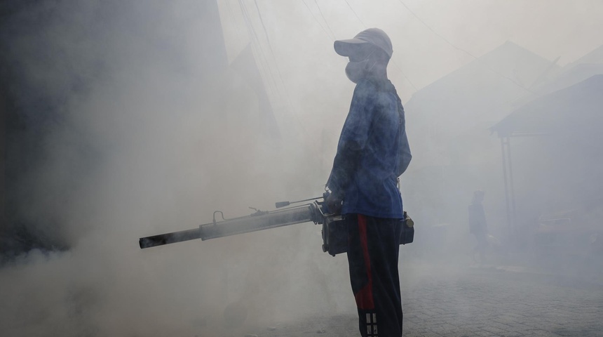 fumigación contra mosquito dengue