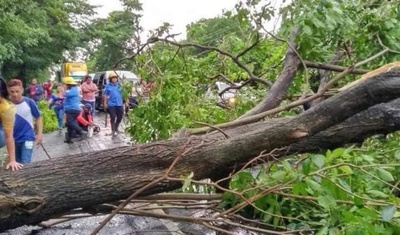 arboles caidos lluvia nicaragua el cua jinotega