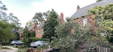 tormenta washington sin electricidad