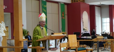 monseñor silvio jose baez, obispo auxiliar de managua en el exilio